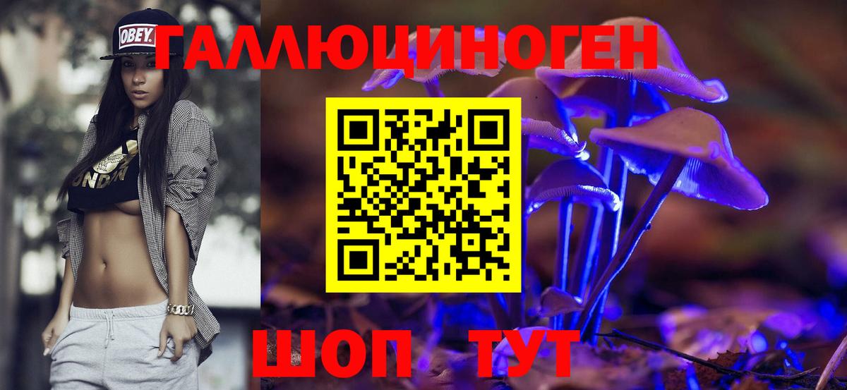 Галлюциногенные грибы мицелий  Вход с VPN  сколько стоит  Москва 